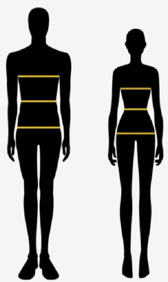 Jersey measurement guide showing chest, length and sleeve sizes