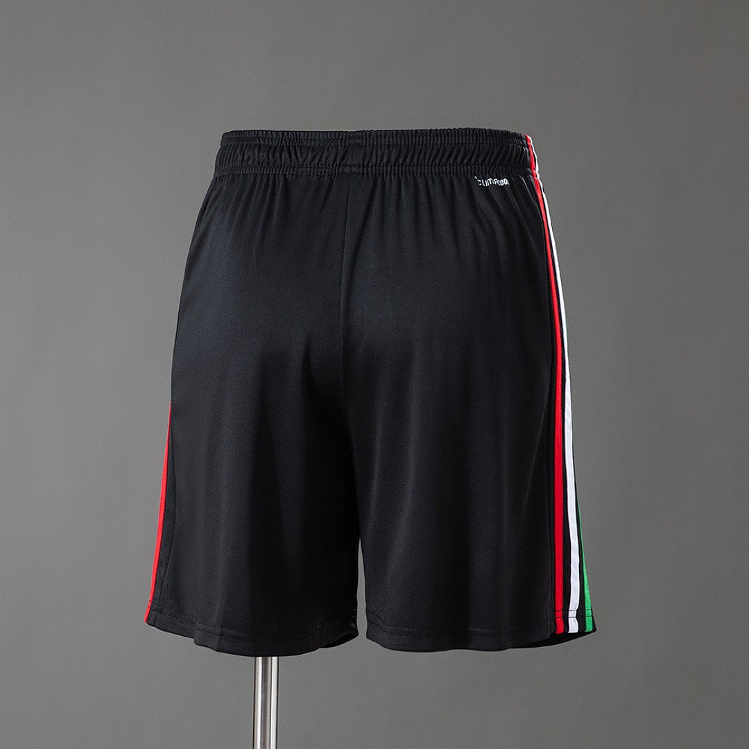 Mexico 2026 Third Shorts - Special Third Colorway - back view