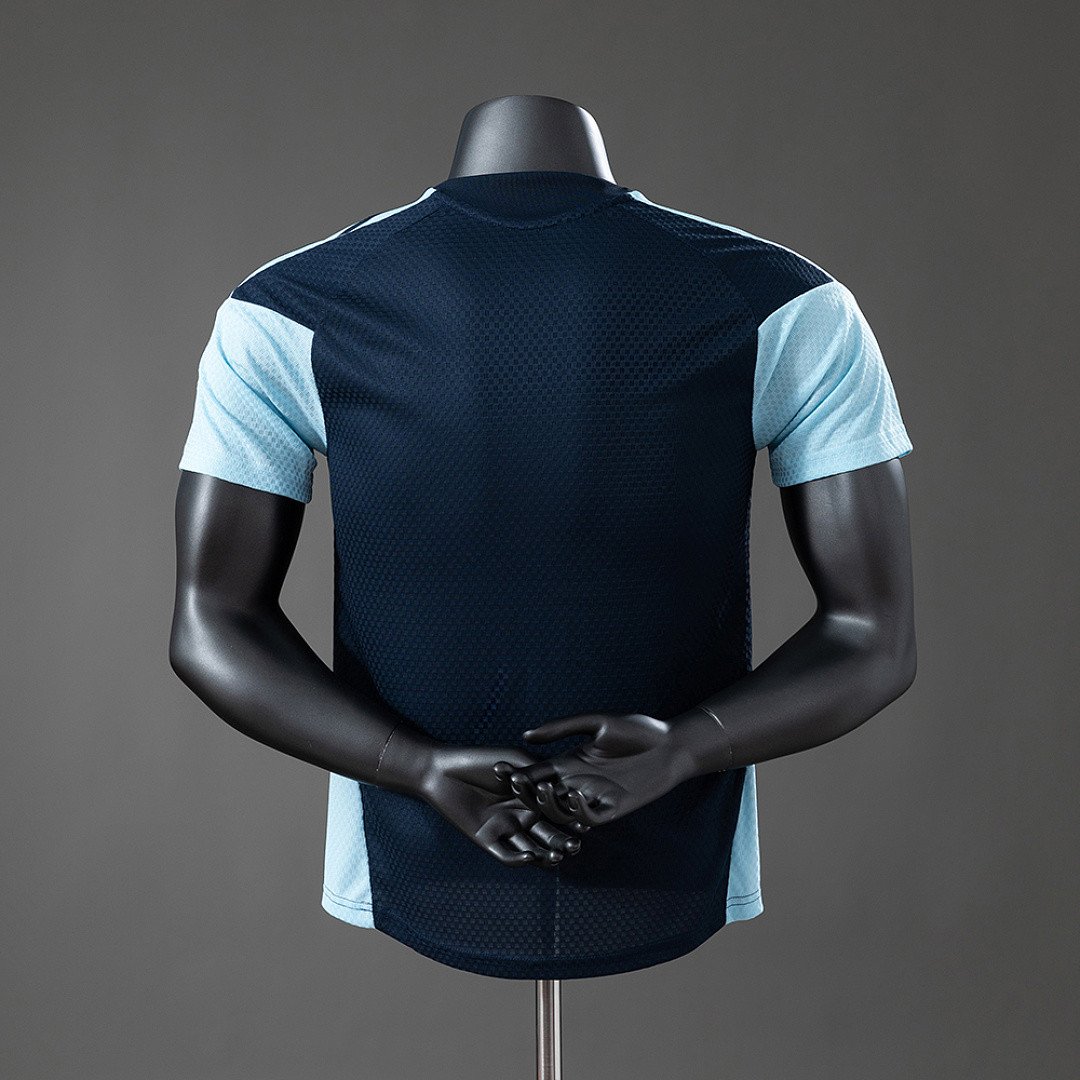 Argentina 2026 Player Version Training Jersey - Royal Blue - Workout Ready Kit - back view