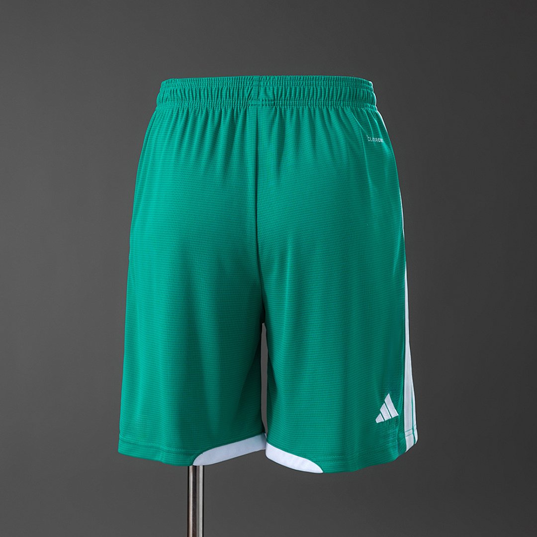 Northern Ireland 2026 Home Shorts - back view