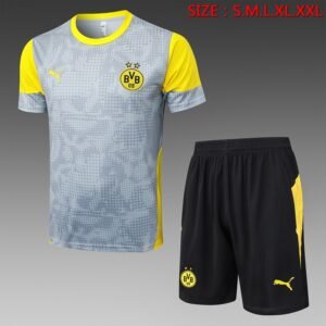 25/26 Borussia Dortmund Jersey Light Grey - front view
