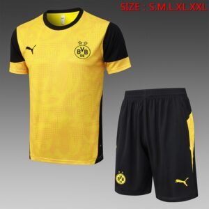 25/26 Borussia Dortmund Jersey Yellow - front view