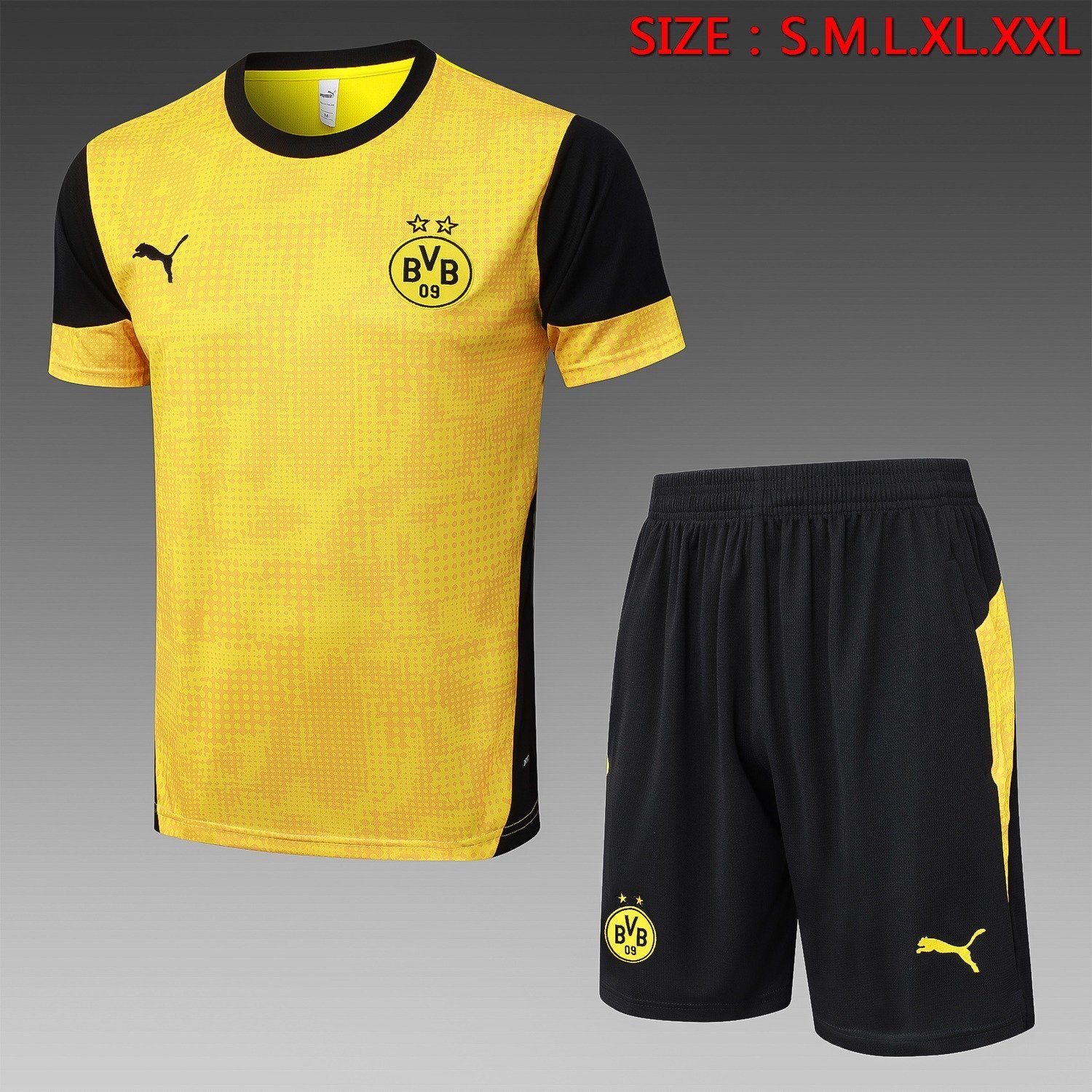 25/26 Borussia Dortmund Jersey Yellow - front view
